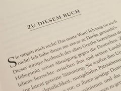 Goethe und seine lieben Deutschen